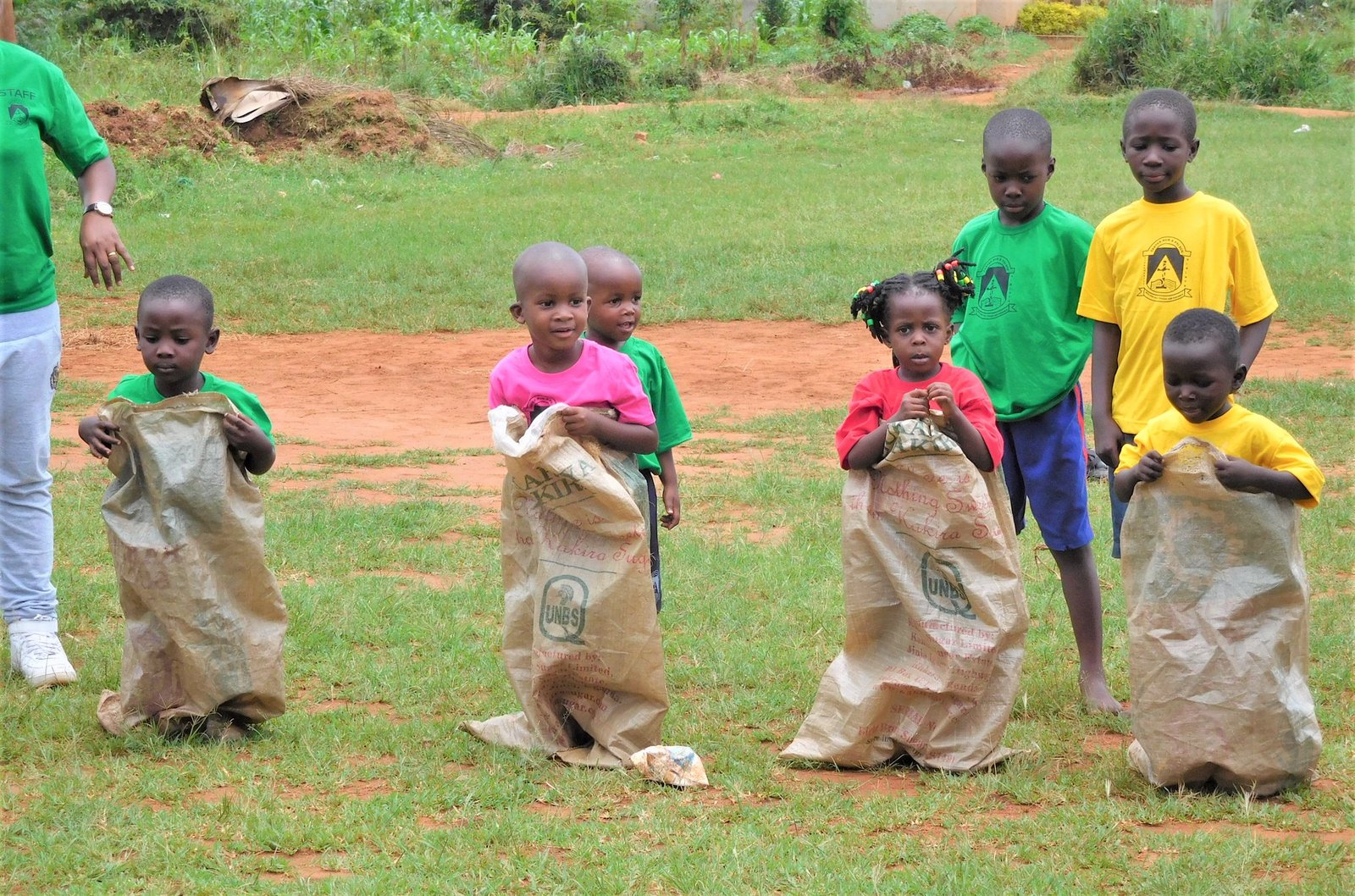 Curiosity and Creativity